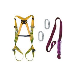 Arn&eacute;s de seguridad.